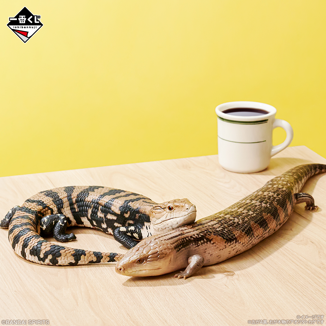 爬虫類＆両生類」だけの一番くじ 第2弾が7月25日より登場！ | 株式会社