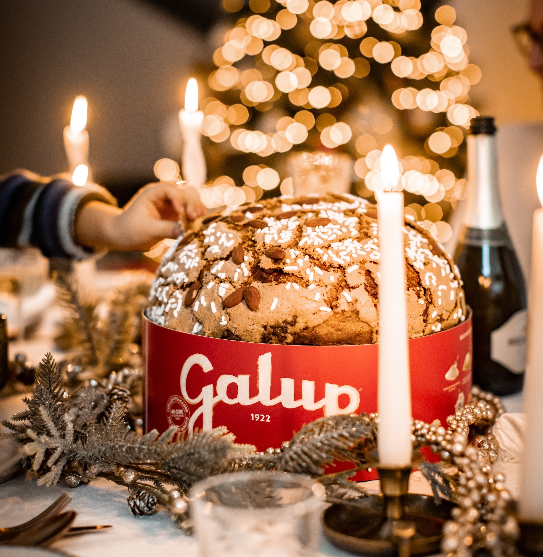 クリスマスの新定番！話題のイタリアのクリスマス伝統菓子