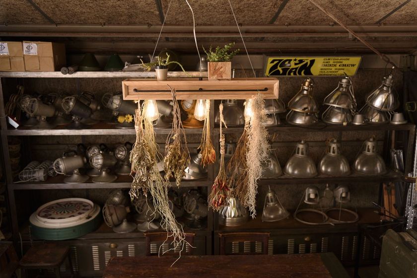 植物が吊るせるカフェ風インテリアLED照明 『BOTANIC CAFE 3 PENDANT