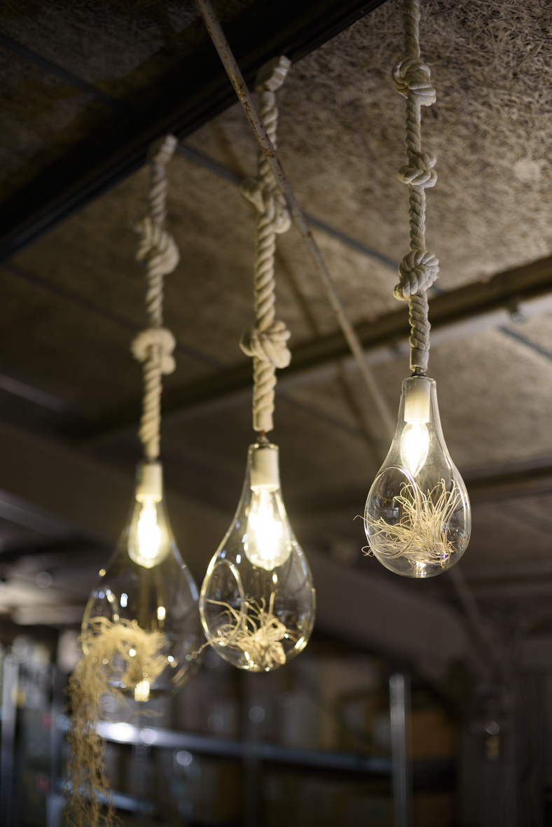 BOTANIC HANGING LIGH/ボタニックハンギング ペンダントランプ 植物が