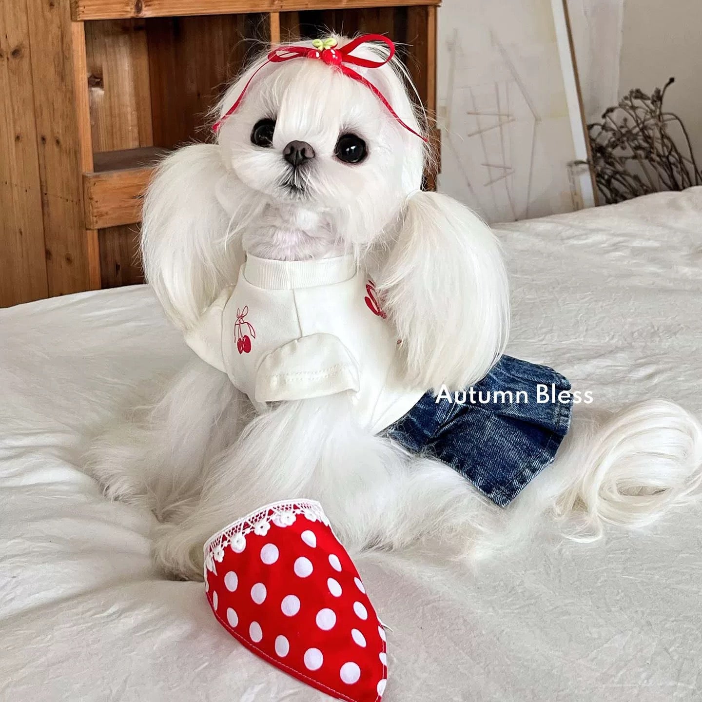 チェリーリンクコーデTシャツ＆デニムスカート | ペアコーデ 犬服