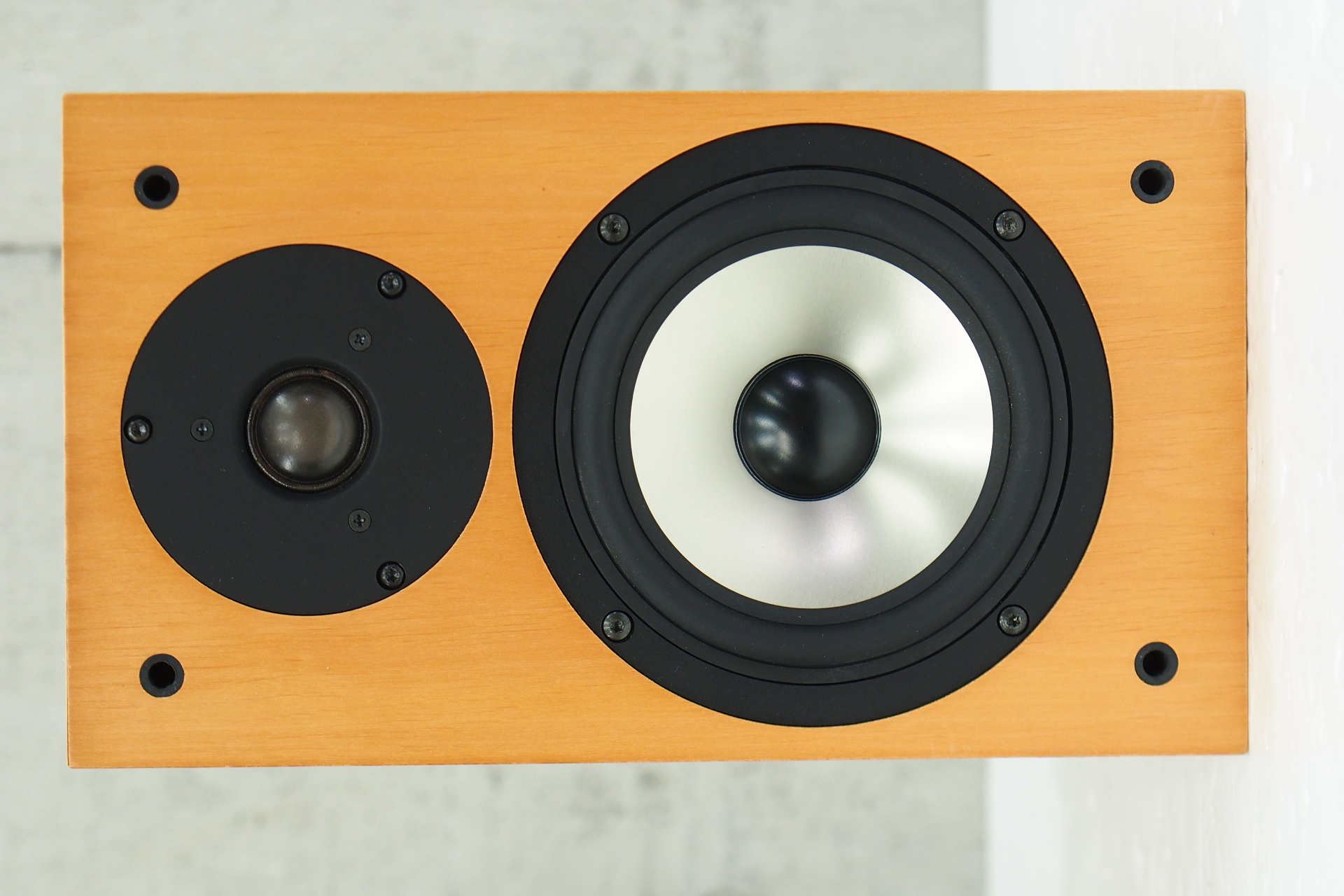 ALRジョーダンエントリーS トップ ALR JORDAN ENTRY S ペア スピーカー