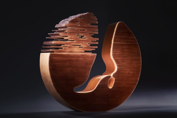 靴職人・三澤則行による靴のアート作品「足の巣」 靴というものの新た