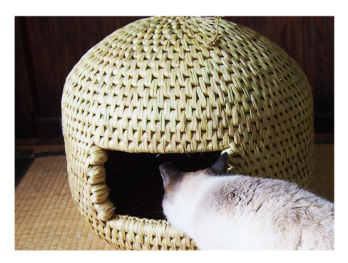 長野伝統工芸 『和風総本家』等で紹介された栄村の名人が作る 最高品質