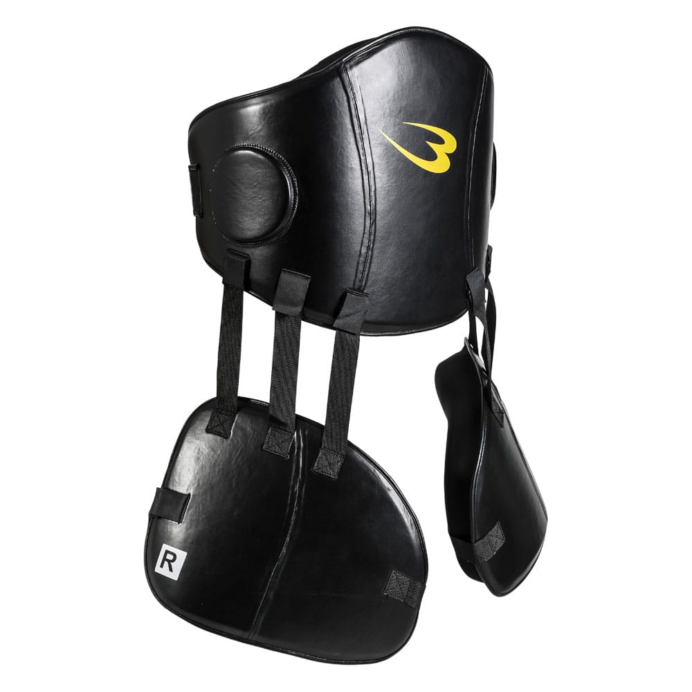 ボクシング 空手 プロテクター ミット 6点セット 36000円相当