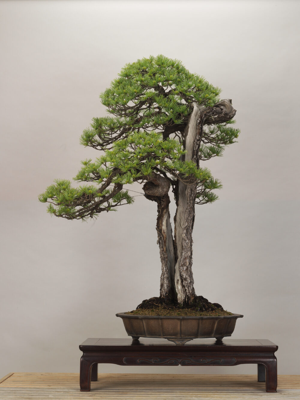 時代 四脚付き 瘤 花梨 玉杢 香台 花台 古木 四足 花梨 瘤