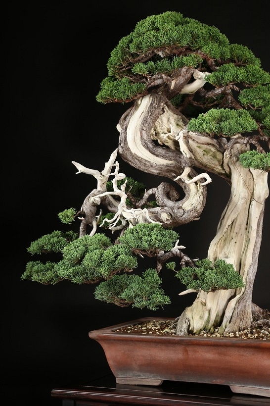 雨畑真石 大型硯 景色良好 貴重品 花梨箱共