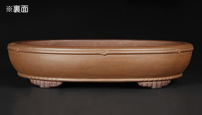 行山竹節楕円鉢 | 盆栽、盆栽書籍、盆栽鉢の通販│近代出版