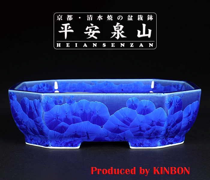 45 盆栽鉢 円形中鉢大☆落款入 白模様 45 盆栽鉢 円形中鉢