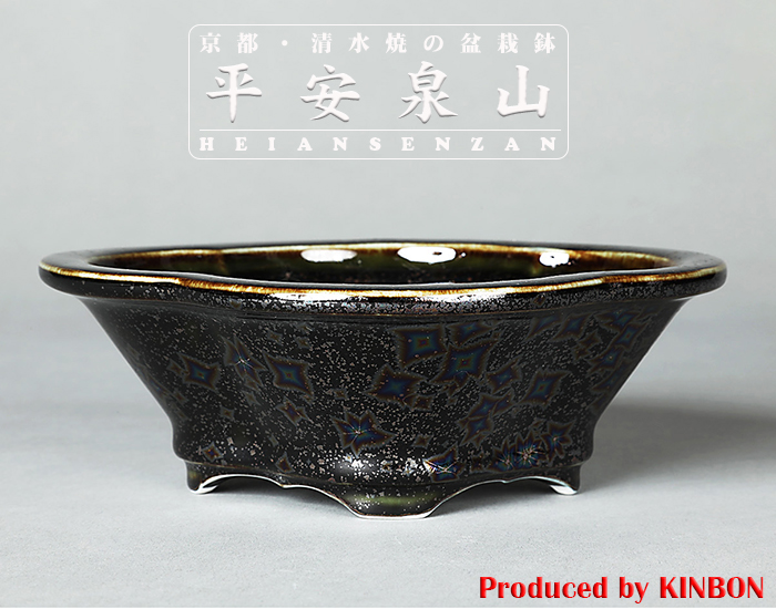 平安泉山黒釉星結晶木瓜式鉢(小) | 盆栽、盆栽書籍、盆栽鉢の通販
