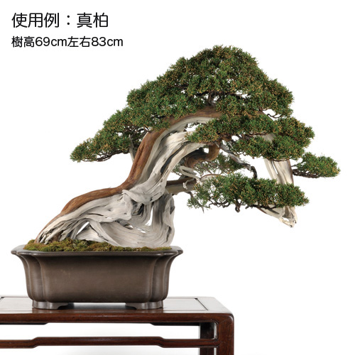 烏泥外縁隅入長方鉢 | 盆栽、盆栽書籍、盆栽鉢の通販│近代出版