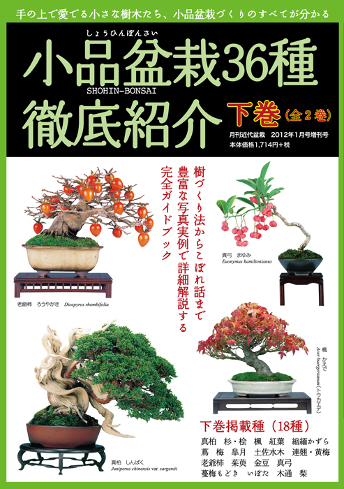 盆栽大事典 普及版 全3巻セット 盆栽大事典 普及版 全3巻セット 盆栽