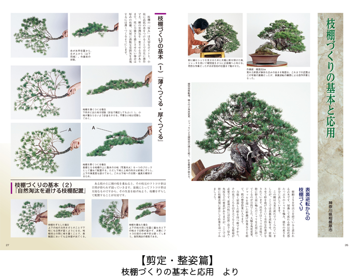 ◇[著者署名あり] 五葉松盆栽の作り方―図解で示す盆栽樹形の