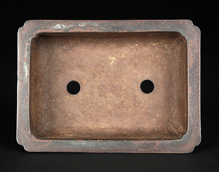 紫泥外縁雲足長方鉢 | 盆栽、盆栽書籍、盆栽鉢の通販│近代出版