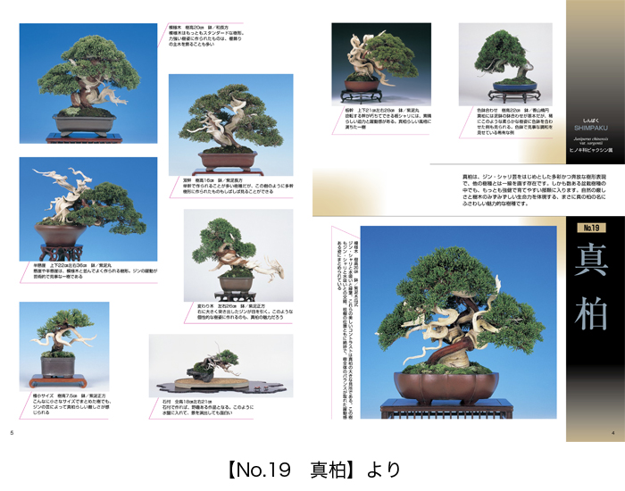 小品盆栽36種徹底紹介 下巻 | 盆栽、盆栽書籍、盆栽鉢の通販│近代出版