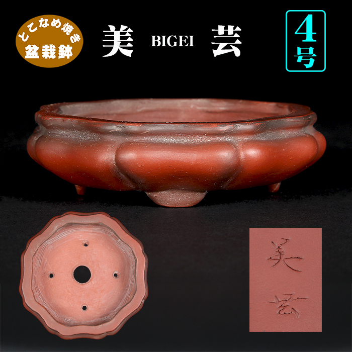 479 盆栽 盆栽鉢 植木鉢 和鉢 美芸 479 盆栽 盆栽鉢 植木鉢 和鉢 美芸