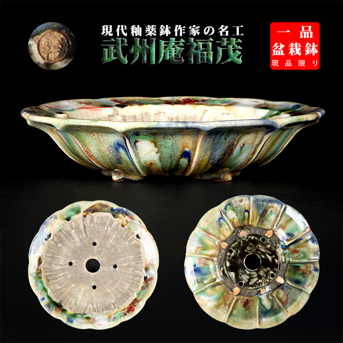 磯山 六角 絵鉢 盆栽鉢 人気鉢！磯山 六角 盆栽鉢 人気鉢！磯山 六角