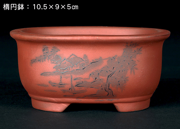 瀬戸焼文山窯朱泥絵付鉢4点セット | 盆栽、盆栽書籍、盆栽鉢の通販