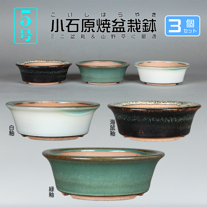 138 盆栽 盆栽鉢 植木鉢 和鉢 銭号 【公式通販】