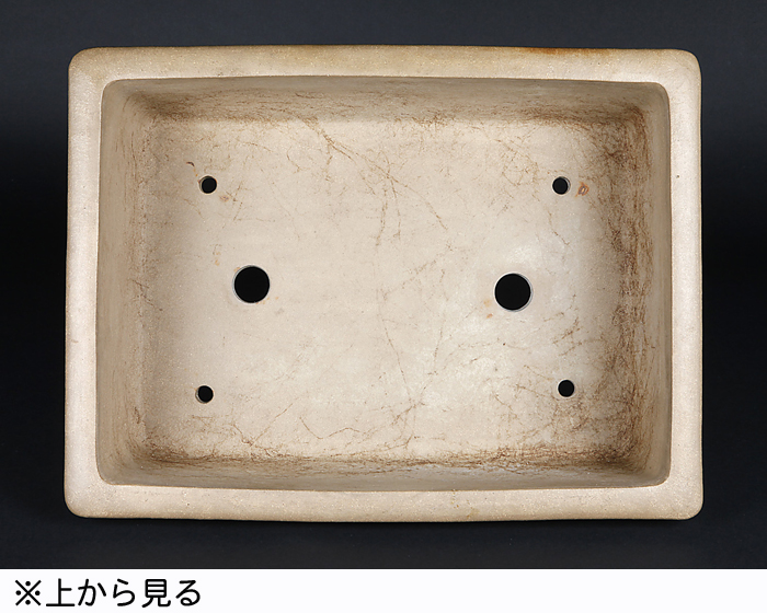 富舟 長方 盆栽鉢 浅め 富舟 長方 盆栽鉢 浅め 富舟 長方 盆栽鉢 浅め 富舟