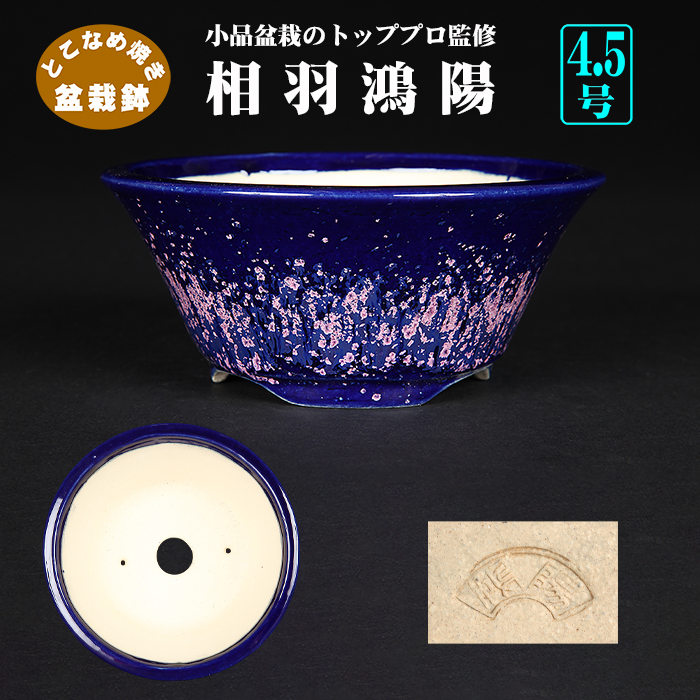 鴻陽 やや大きめ 盆栽鉢 鴻陽 やや大きめ 盆栽鉢 鴻陽 やや大きめ