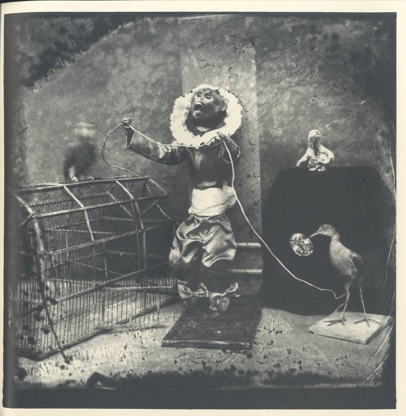 Joel-Peter Witkin: PHOTOGRAPHS / Joel-Peter Witkin | 小宮山書店