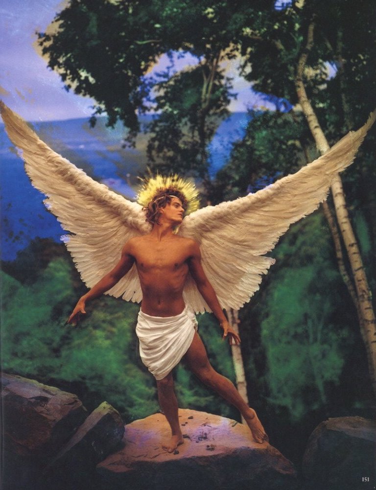 デビッド・ラシャペル David LaChapelle パネル張り アート LACHAPELLE