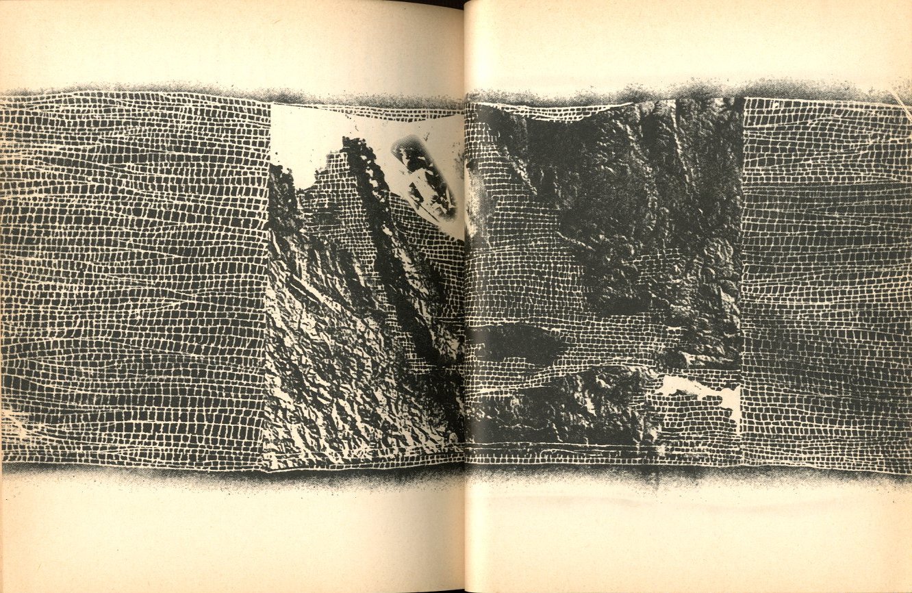 マンハッタン自殺未遂常習犯 / 草間彌生 | 小宮山書店 KOMIYAMA TOKYO