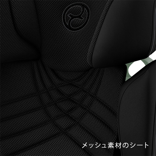 サイベックス ソリューションT アイフィックス セピアブラックプラス