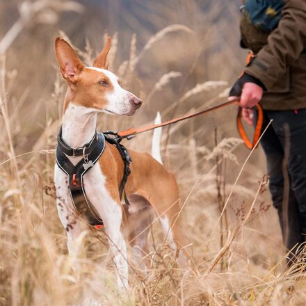 Non-stop Dogwear Line Harness Grip - Hike & Camp