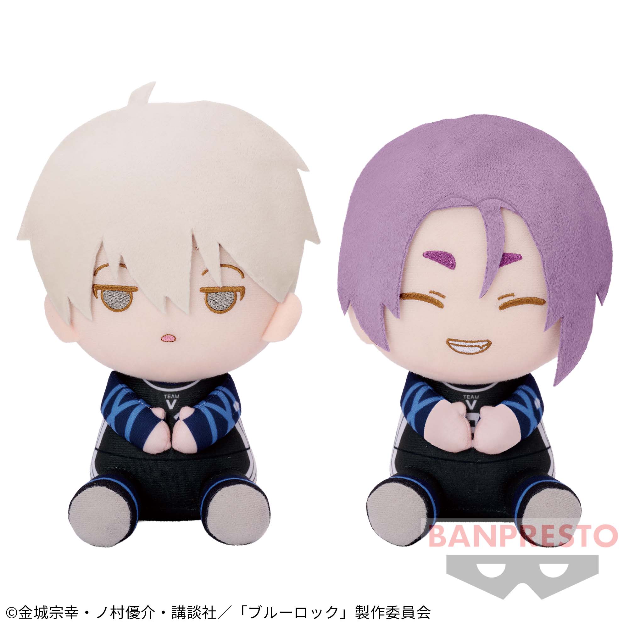 TVアニメ『ブルーロック』 でっかいぽふっとぬいぐるみ～凪誠士郎