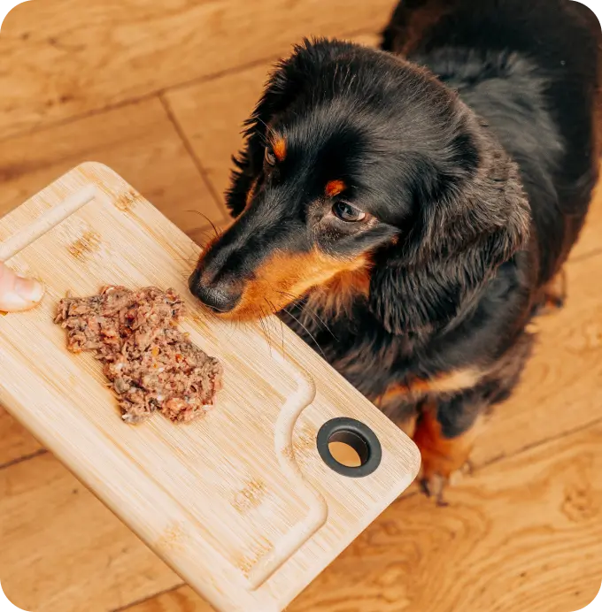 Grass-Fed Lamb - Premium Complete Raw Puppy Food Recipe