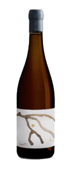 ヴェニッサ（VENISSA） | BELLA LUPA