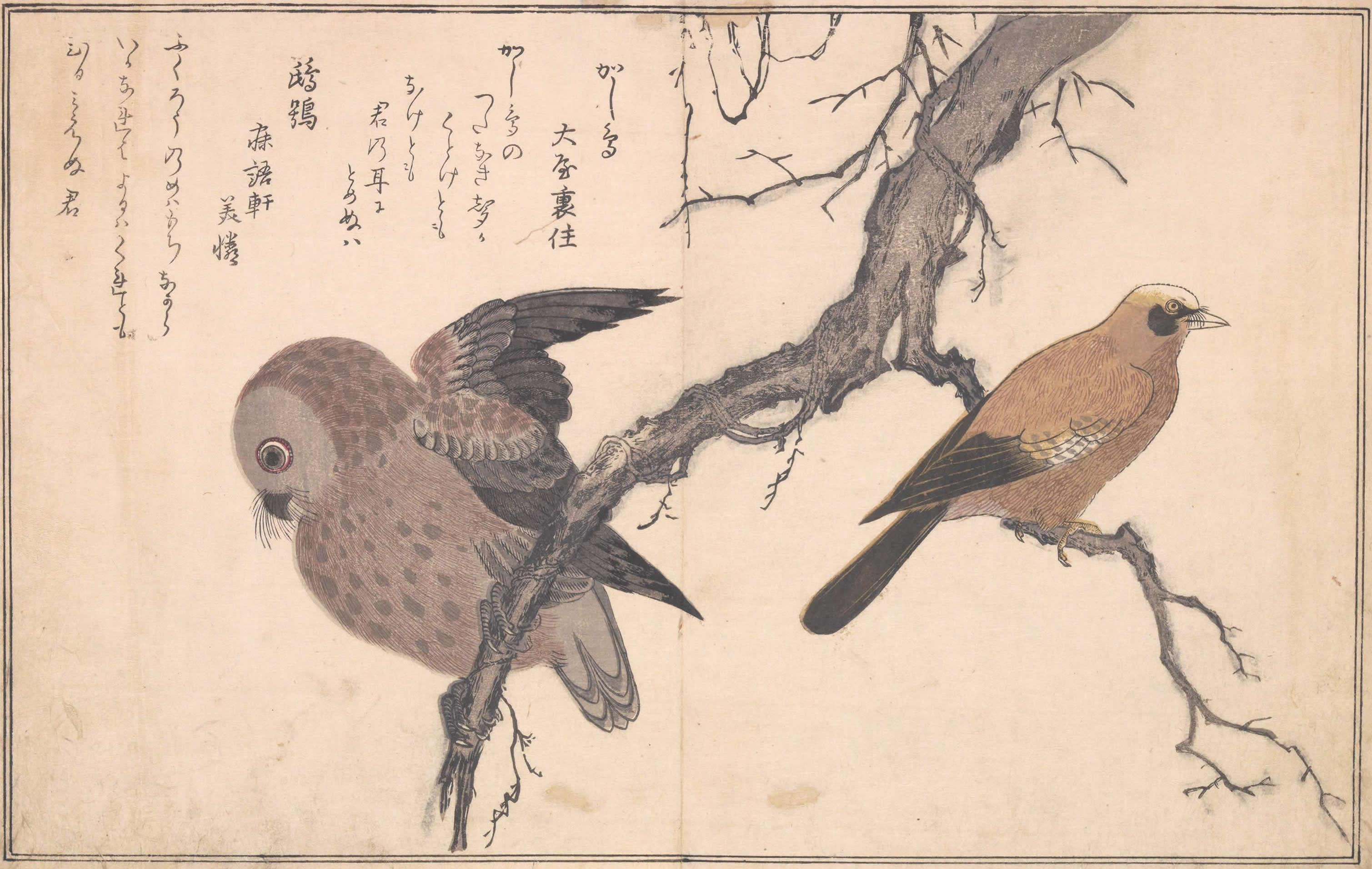 喜多川歌麿 絵本百千鳥 手摺り木版画 全15枚 版画 喜多川歌麿