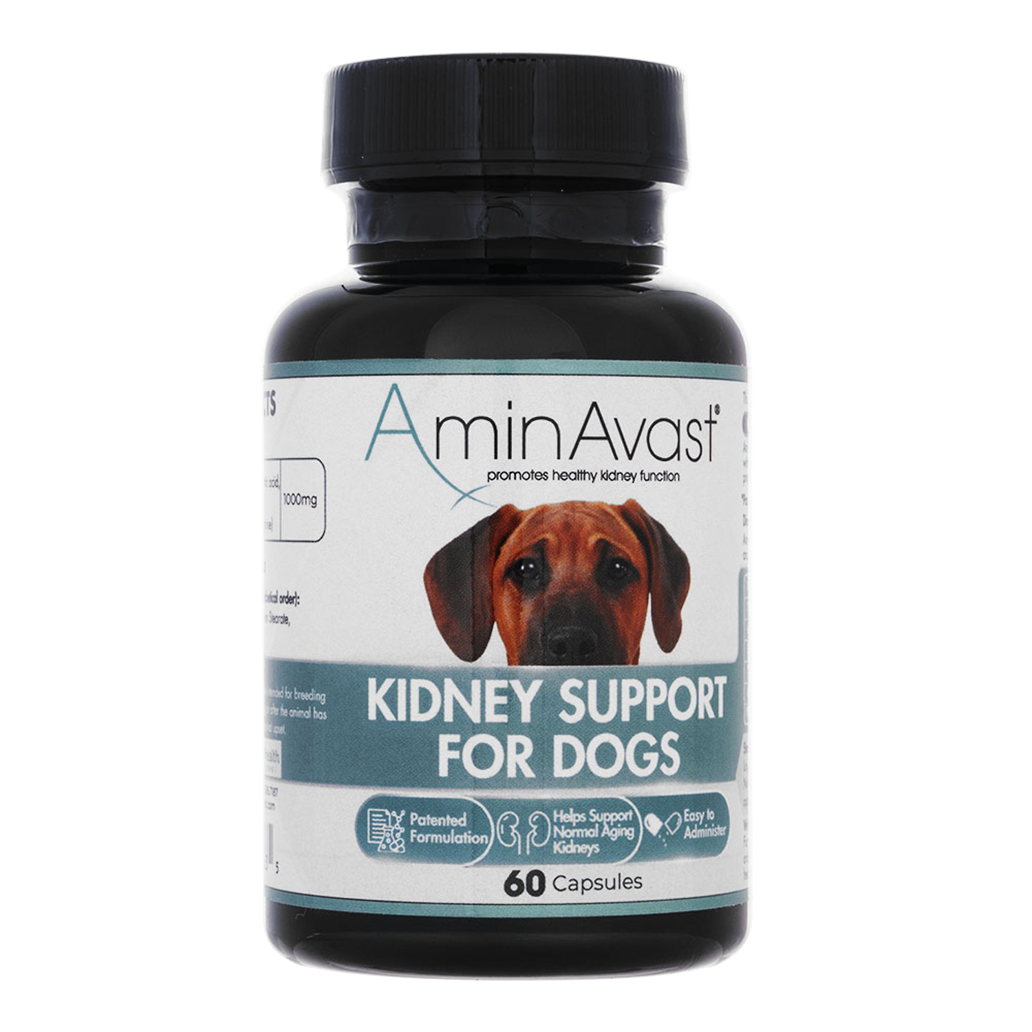 アミンアバスト(AminAvast) 犬猫用の個人輸入はベストドラッグへ