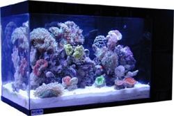 株式会社バイコム｜ミズカラ家づくり。