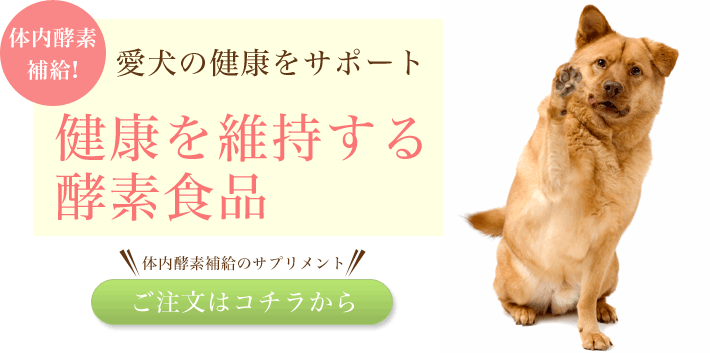 ビッグウッド ビッグウッド「はぐくむ酵素 180g」（旧称：元気な酵素