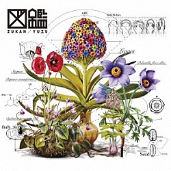 ゆず、ニューアルバム『図鑑』ジャケット／収録曲／アー写を公開