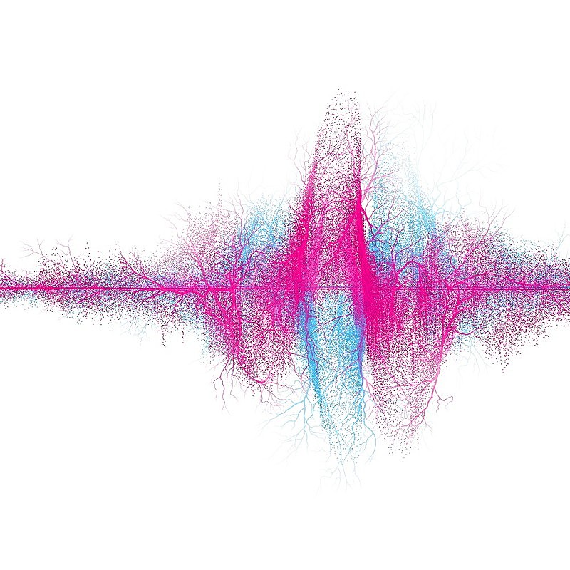 SUPER BEAVER、ニューアルバム『音楽』収録曲／ジャケット／新