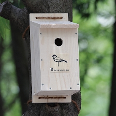 日本野鳥の会 バードショップオンライン Wild Bird 巣箱 シジュウカラ