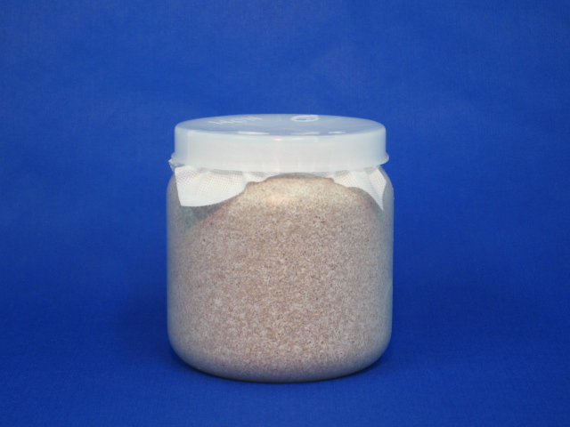 BREED 1100菌糸ビン 15本 橋本様BREED 1100菌糸ビン 15本