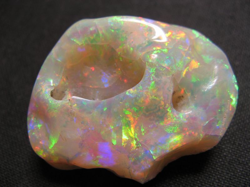 シェルオパール 貝オパール オパール化貝化石 シェルオパール貝