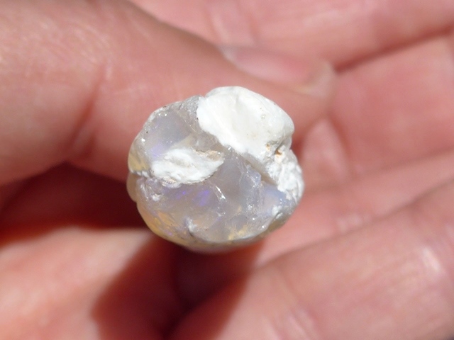 べレムナイト｜オパール化した化石｜オーストラリア産オパール