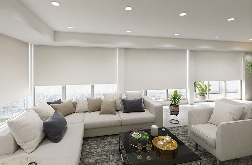 ダグラス DC-9 機内 客室 内装 壁 パネル ウィンドウガラス ダグラス