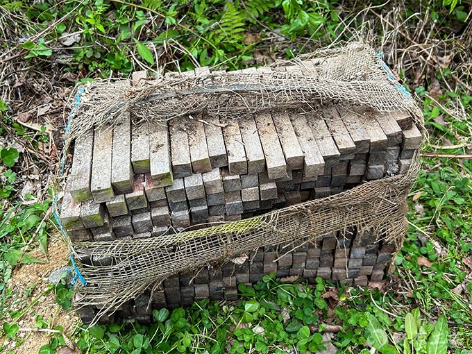 土に帰る前に】インドローズウッドを仕入れる | 野原工芸｜作り手の裏話