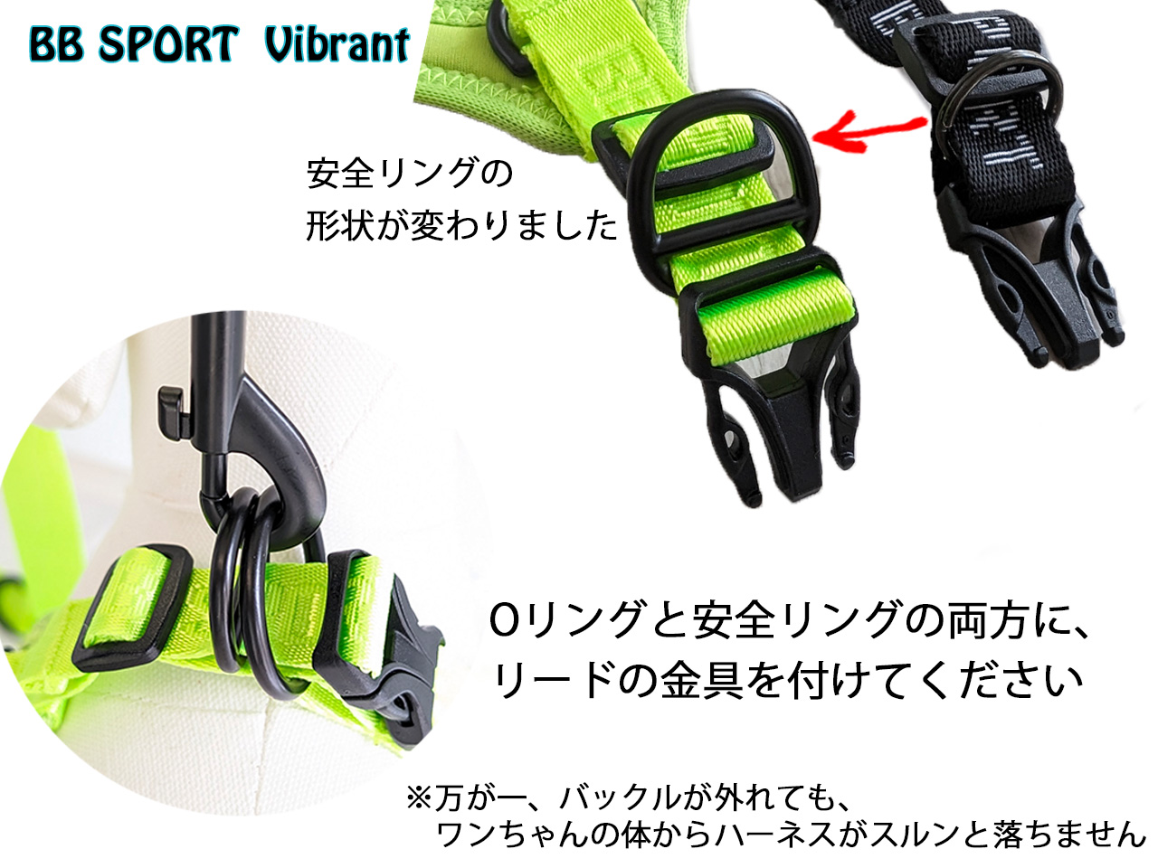 バディベルト BBスポーツブルー サイズ3.5 リードセット 取り寄せ