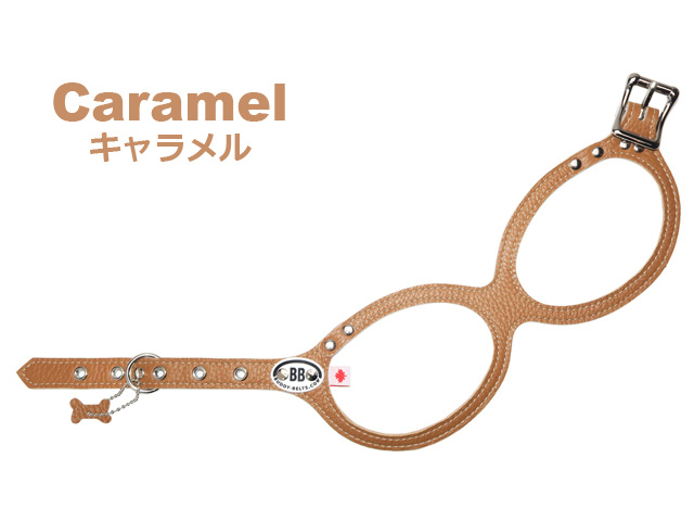 6号サイズ BUDDY BELTS バディーベルト バディベルト ハーネス | brindle