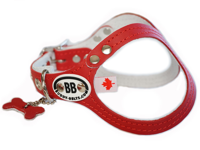 5号サイズ ラインストーン付き BUDDY BELTS バディーベルト バディ