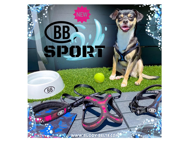 バディベルト BBベルト ベイビーブルー2.5号 【公式通販】