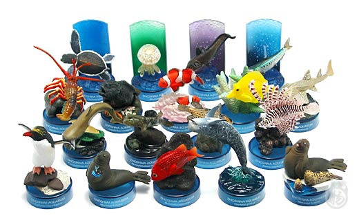 新江ノ島水族館「新江ノ島水族館立体生物図録」